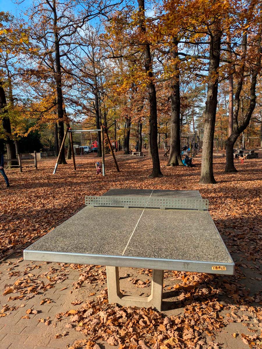 Tischtennis bei Neuländer Straße