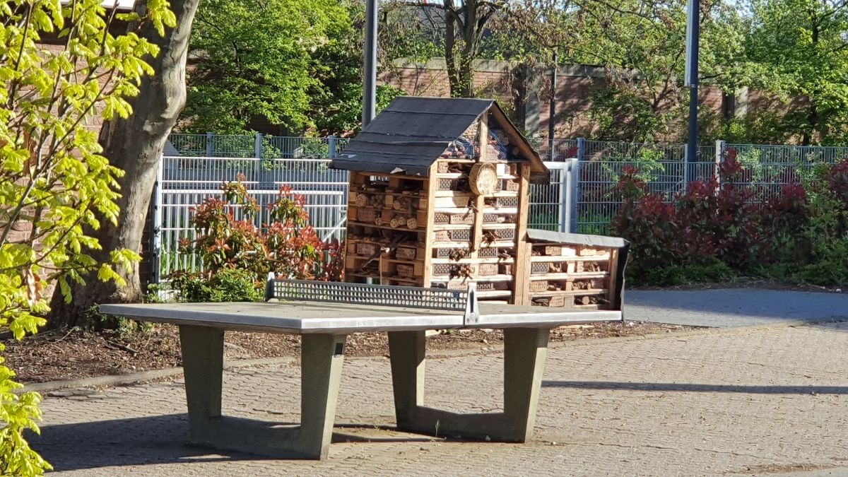 Tischtennis bei Kölnstraße