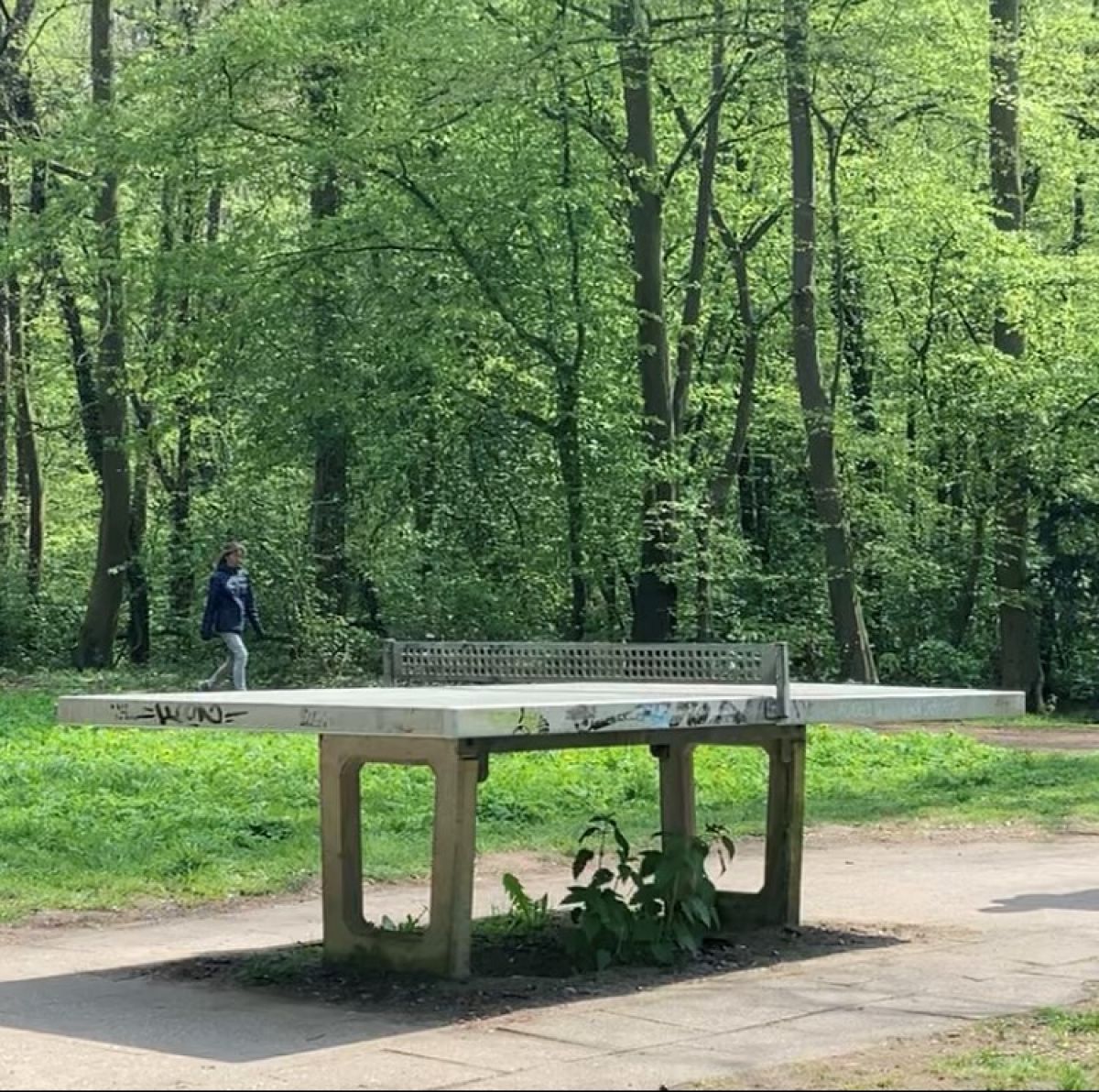 Tischtennis bei Thielenbrucher Allee 44