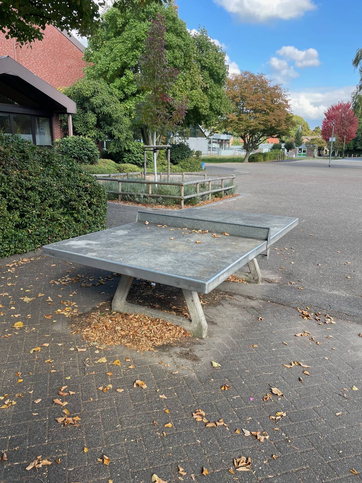 Tischtennis bei Burgweg