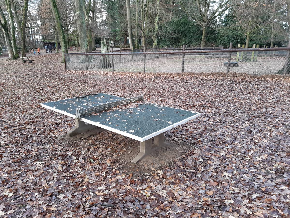 Tischtennis bei Im Tannenbusch
