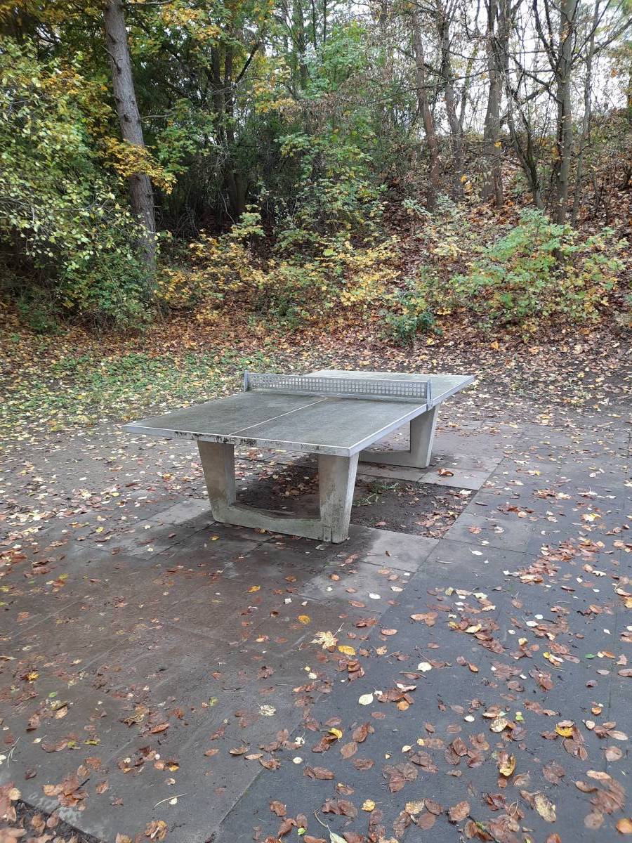 Tischtennis bei Sertoriusring