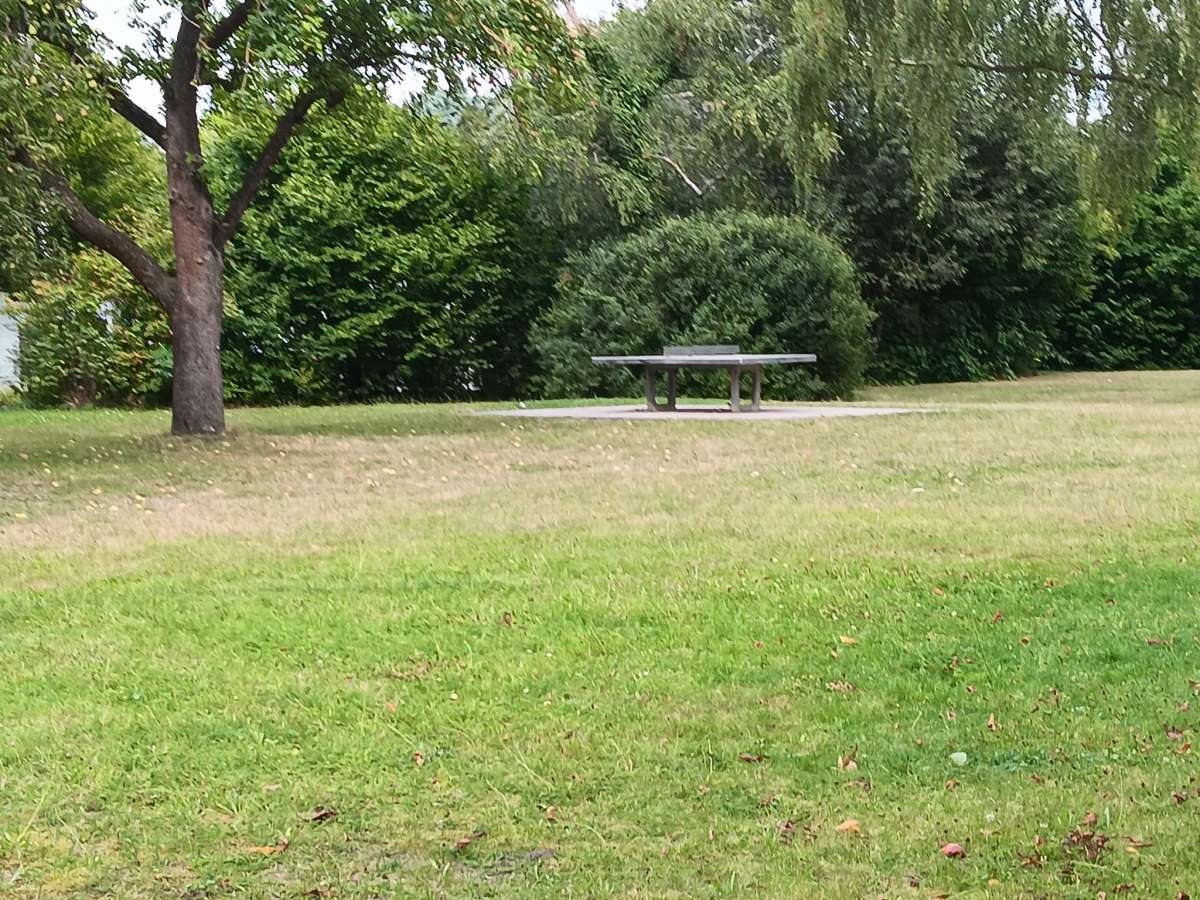 Tischtennis bei Sulzbacher Straße