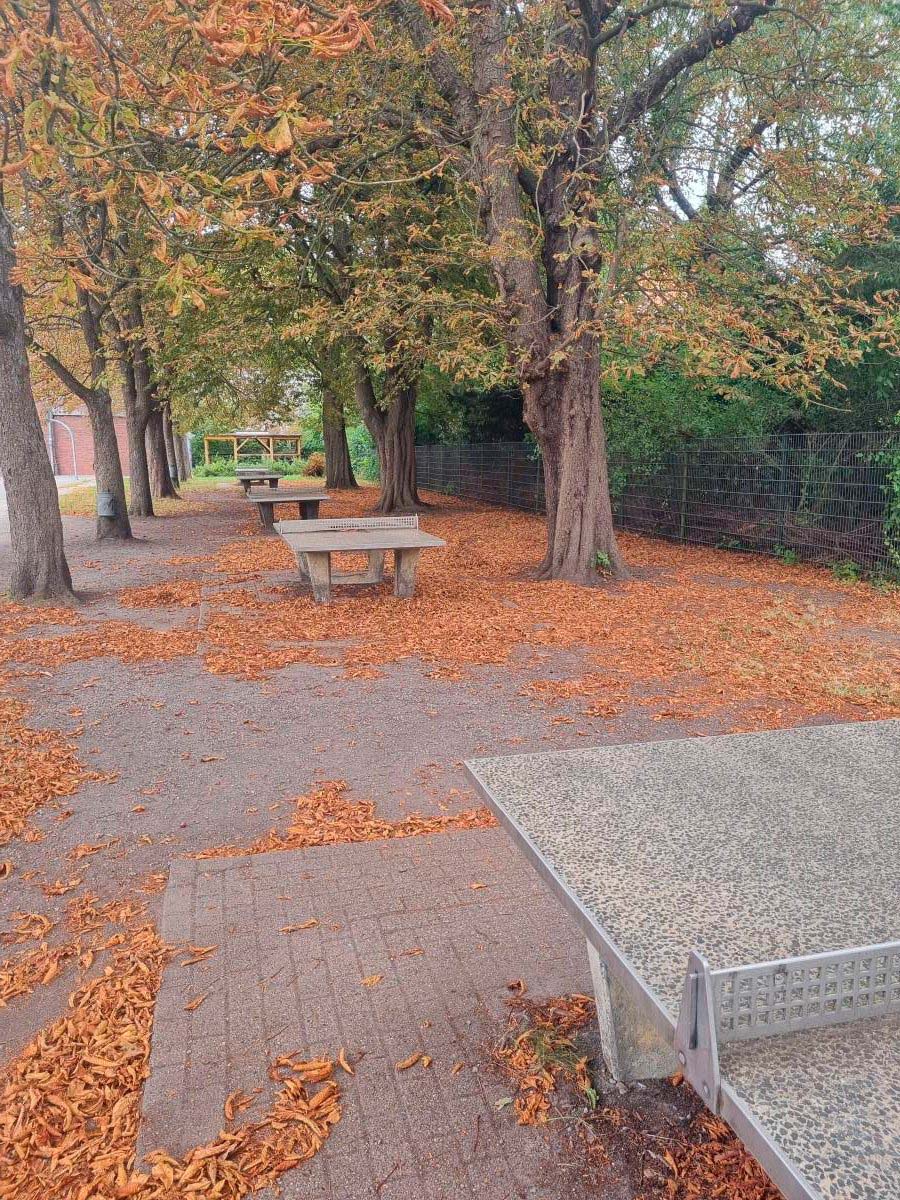 Tischtennis bei Margaretenstraße