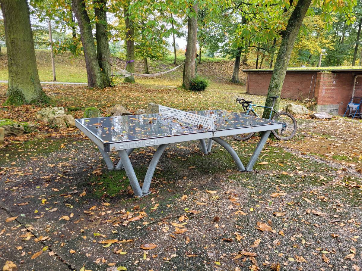 Tischtennis bei Bodelschwinghweg