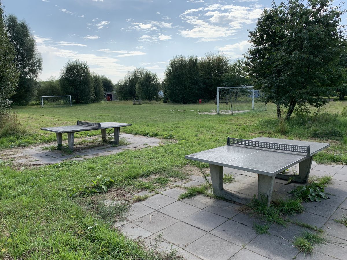 Tischtennis bei Ellernweg