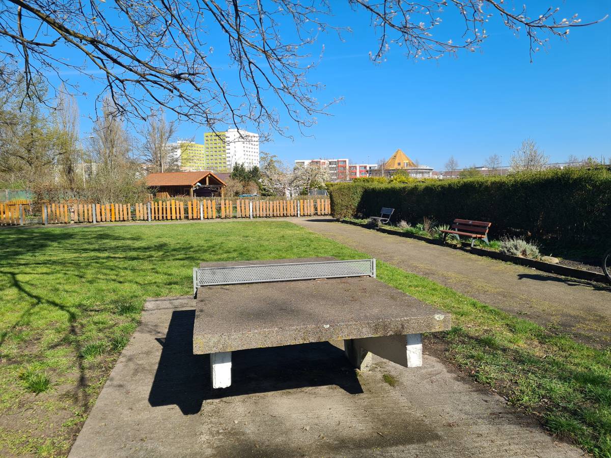 Tischtennis bei Torgauer Straße