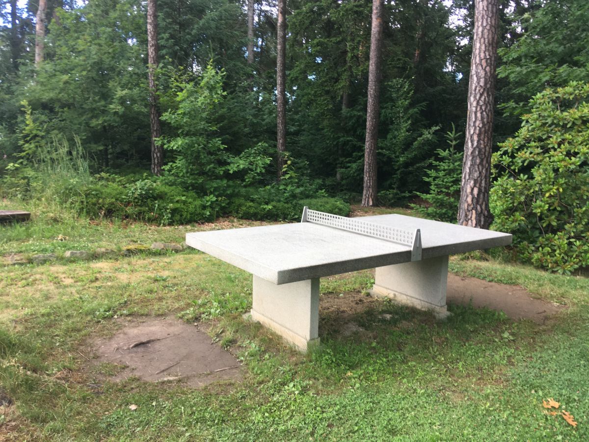 Tischtennis bei Augustusberg