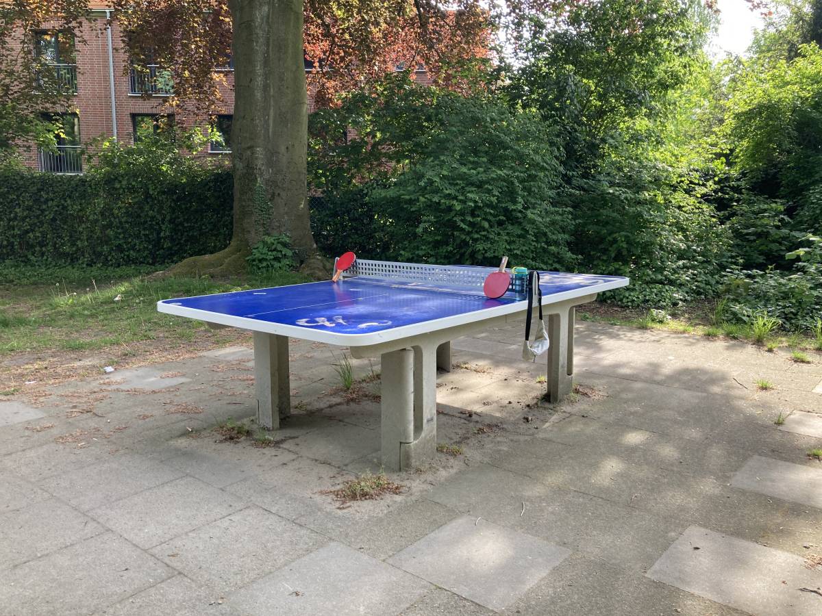 Tischtennis bei Brunckhorstweg