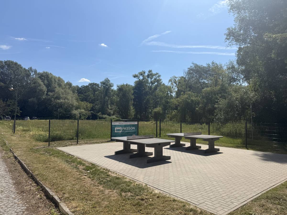 Tischtennis bei Friesenstraße