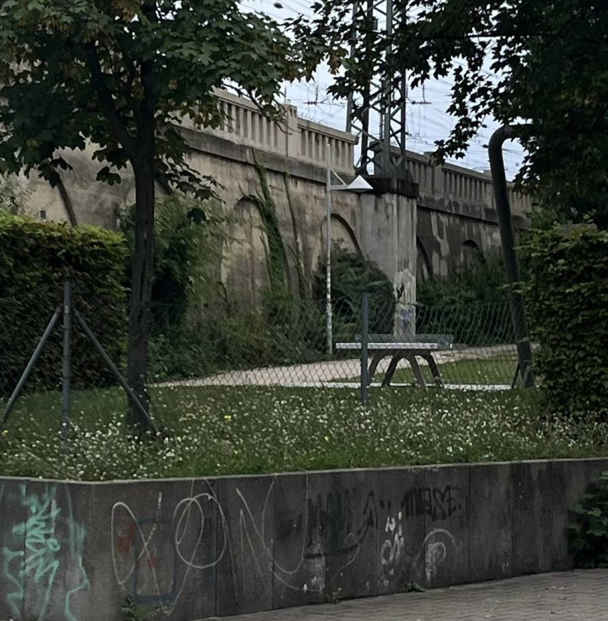 Tischtennis bei Willy-Prölß-Platz