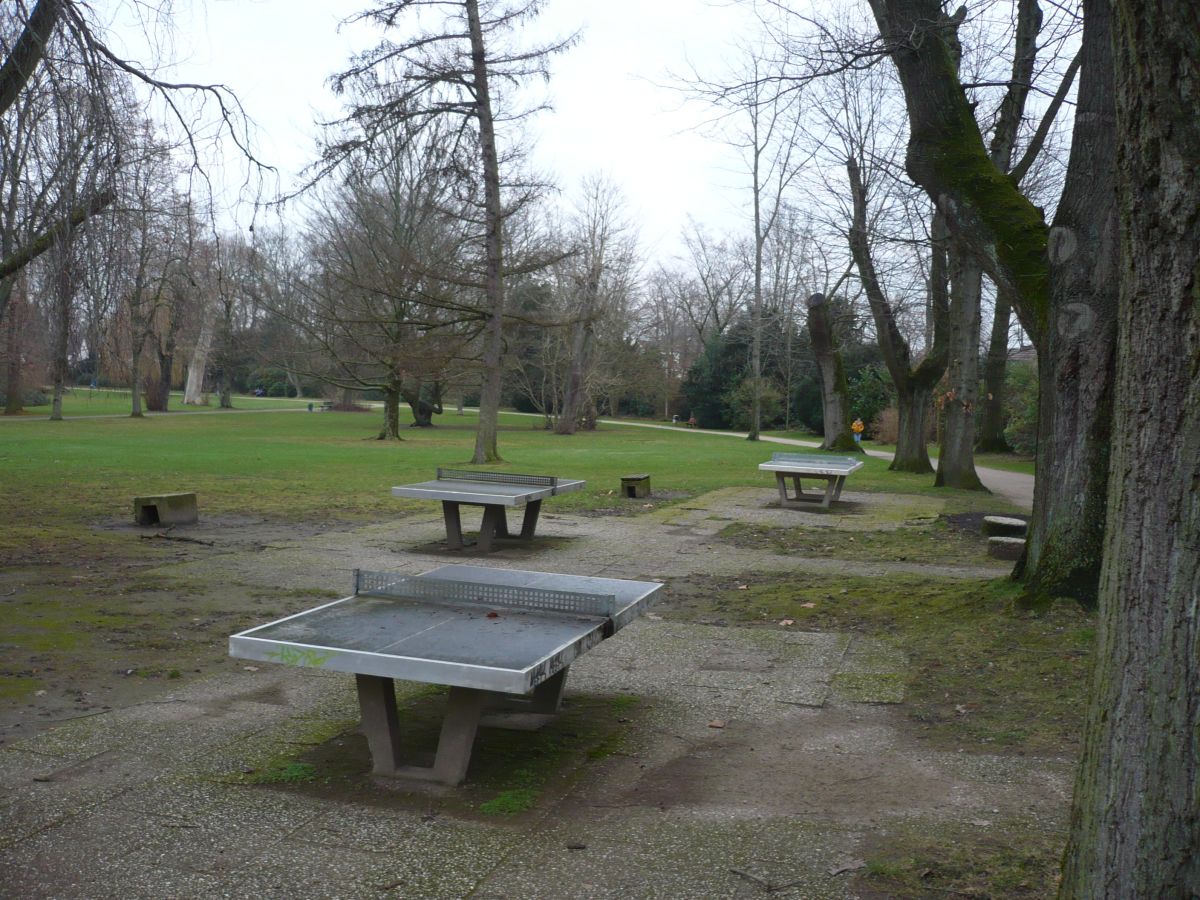 Tischtennis bei Stadtgartenring