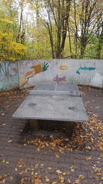 Tischtennis bei Adolf-Engster-Weg 2
