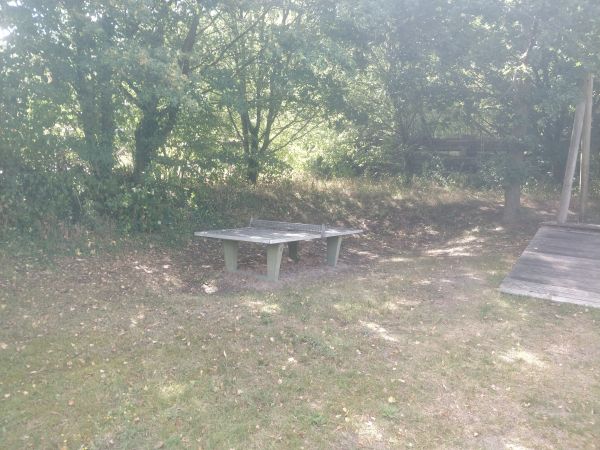 Tischtennis bei Grumbachweg 44