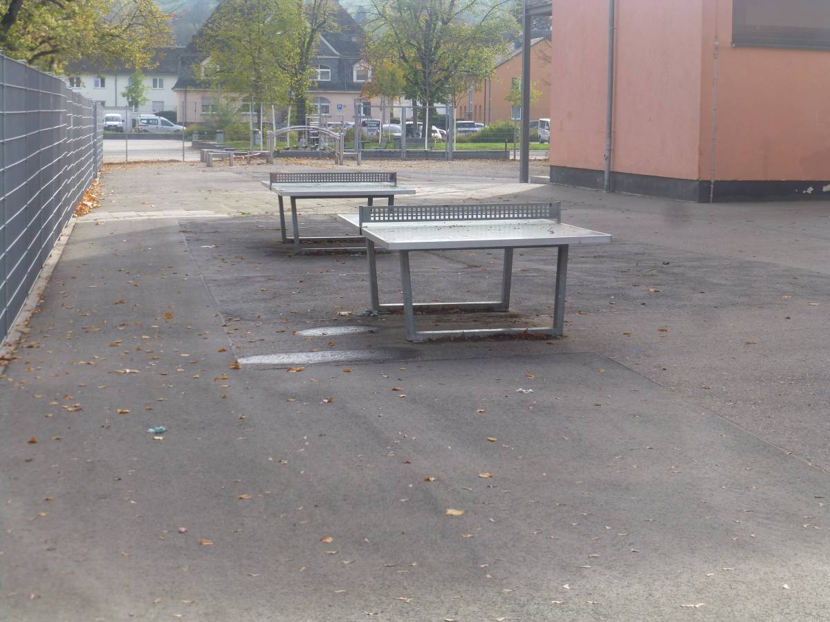 Tischtennis bei Thyrsusstraße
