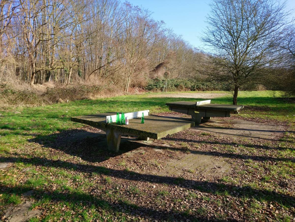Tischtennis bei Pappelweg