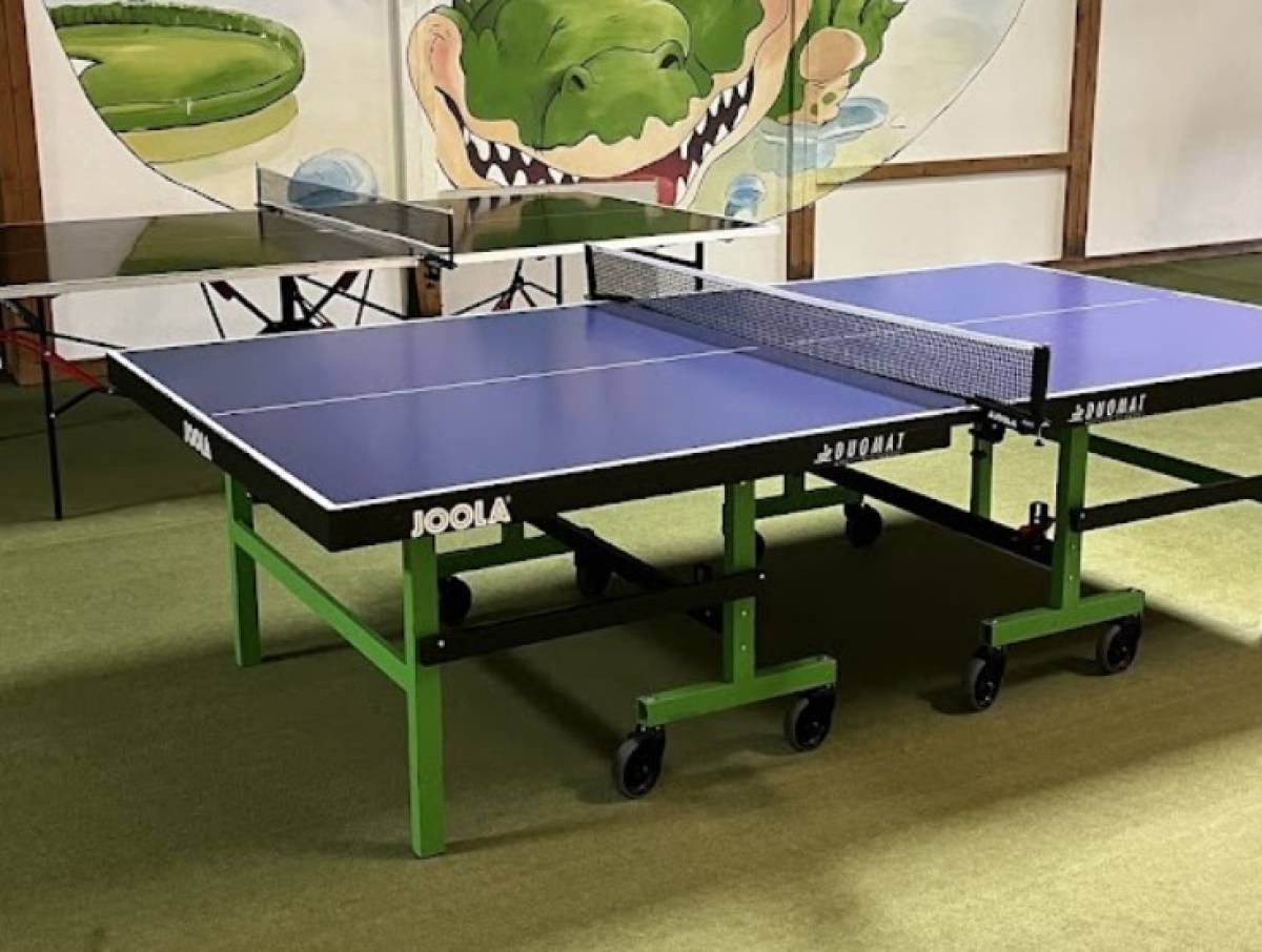 Tischtennis bei Wittauer Straße