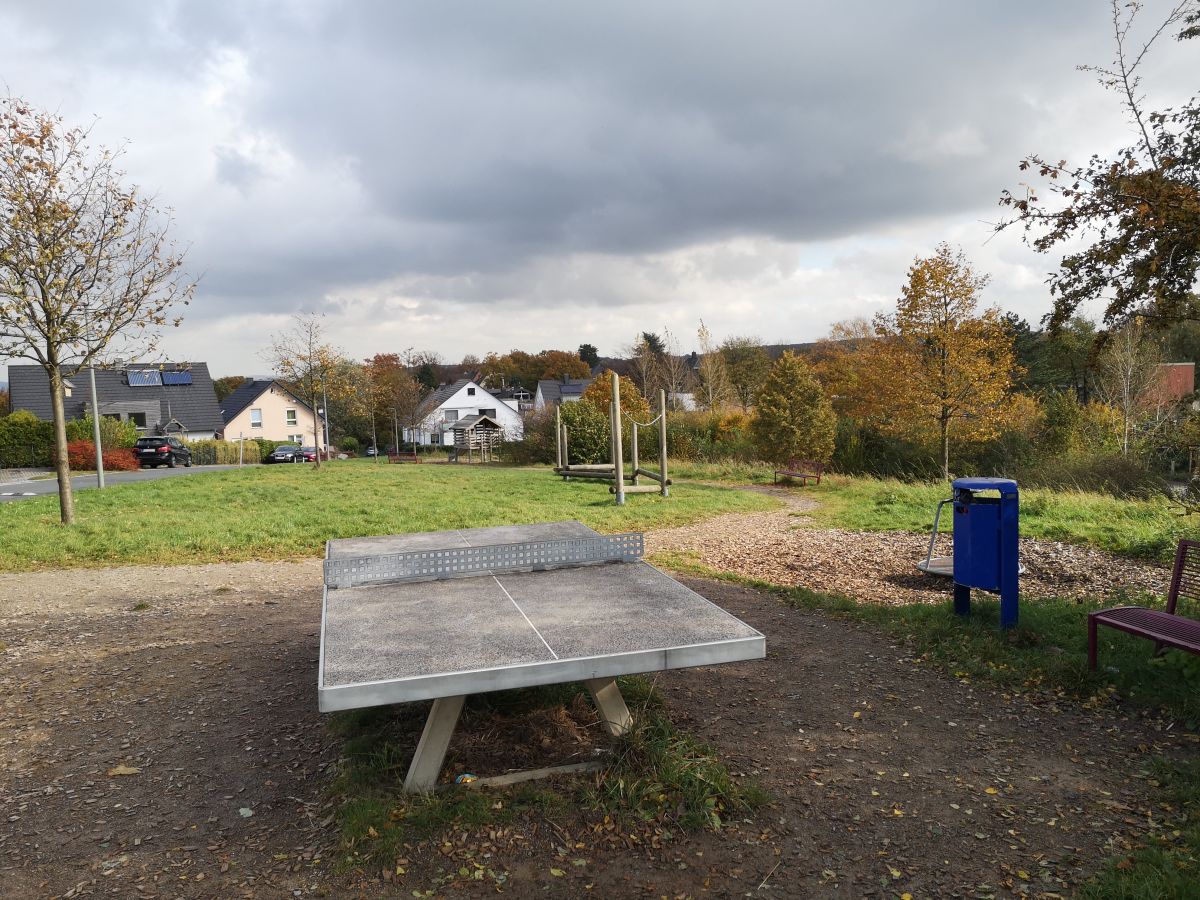 Tischtennis bei An der Borg