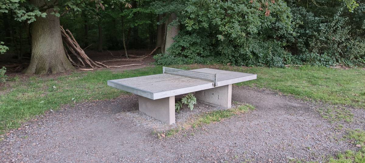 Tischtennis bei Carla-Woldering-Straße