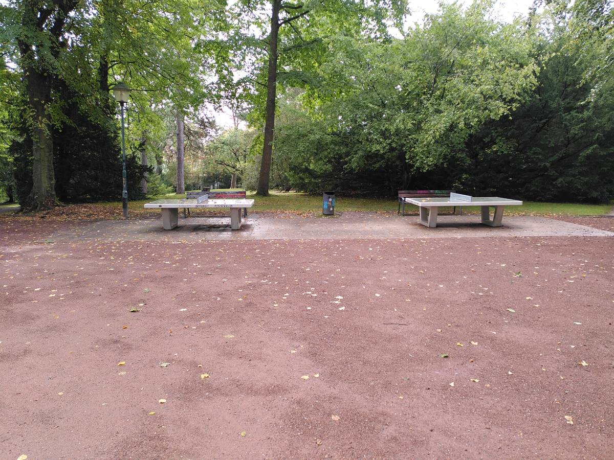Tischtennis bei Bergstraße