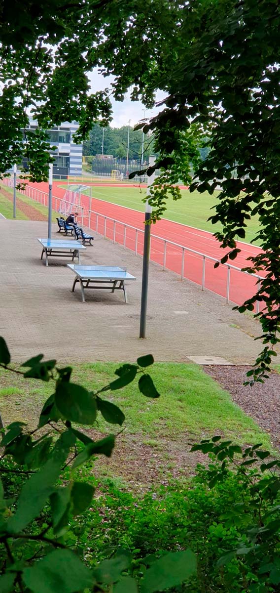 Tischtennis bei Bremer Damm