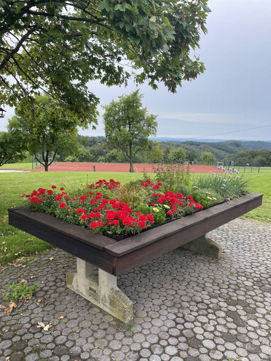 Tischtennis bei Hauptstraße