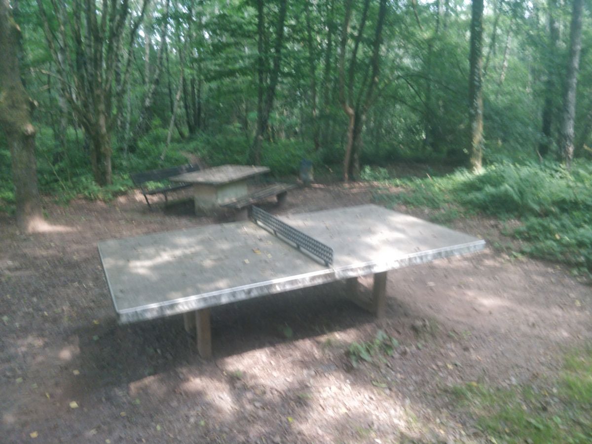Tischtennis bei Am Pfeifferwald