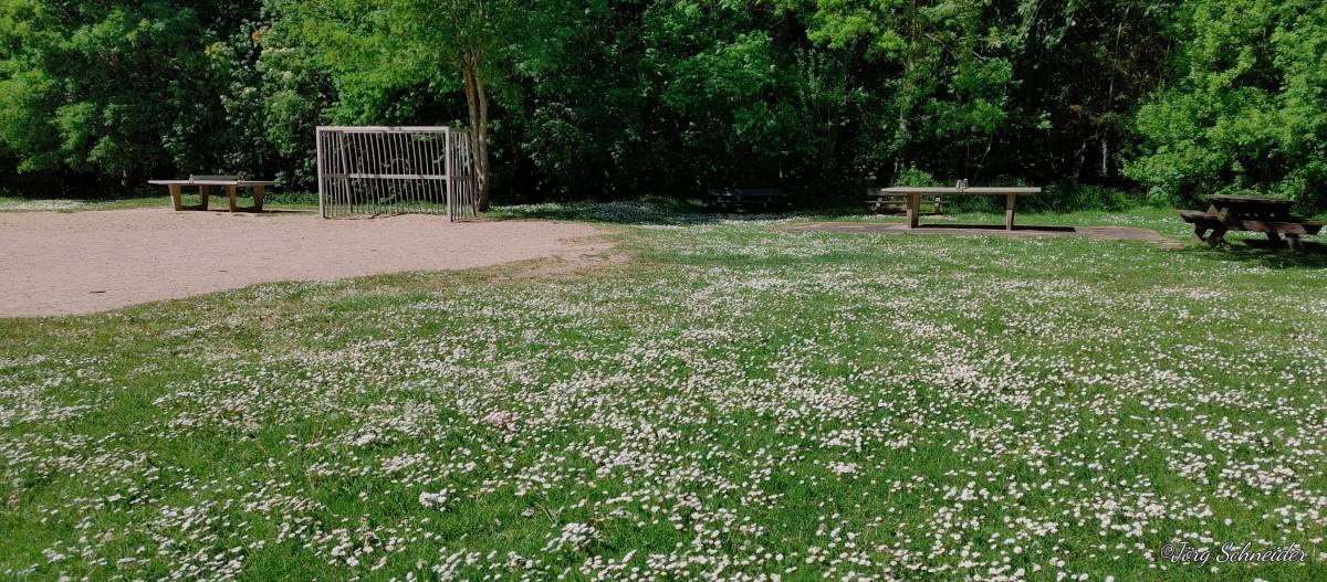 Tischtennis bei Fischerweg