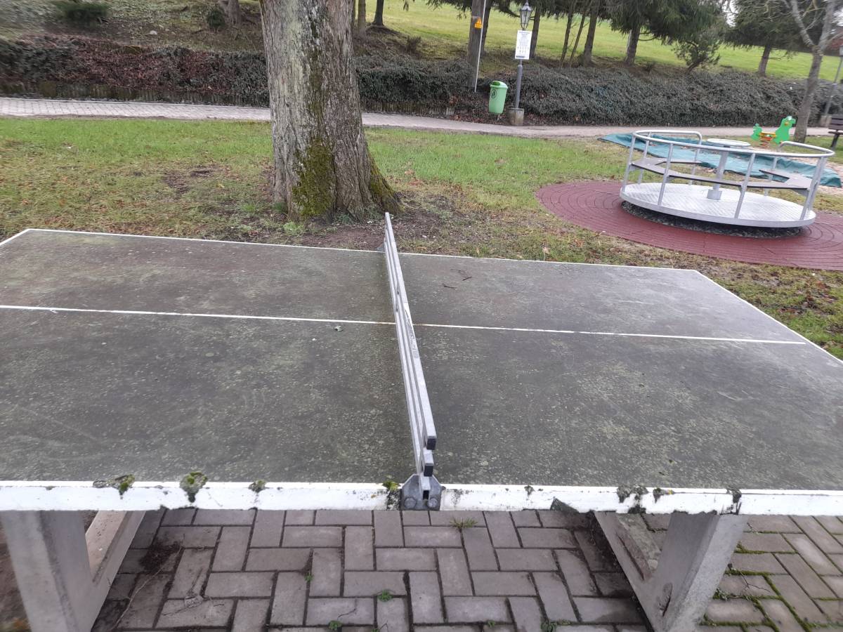 Tischtennis bei Zur Bleiche