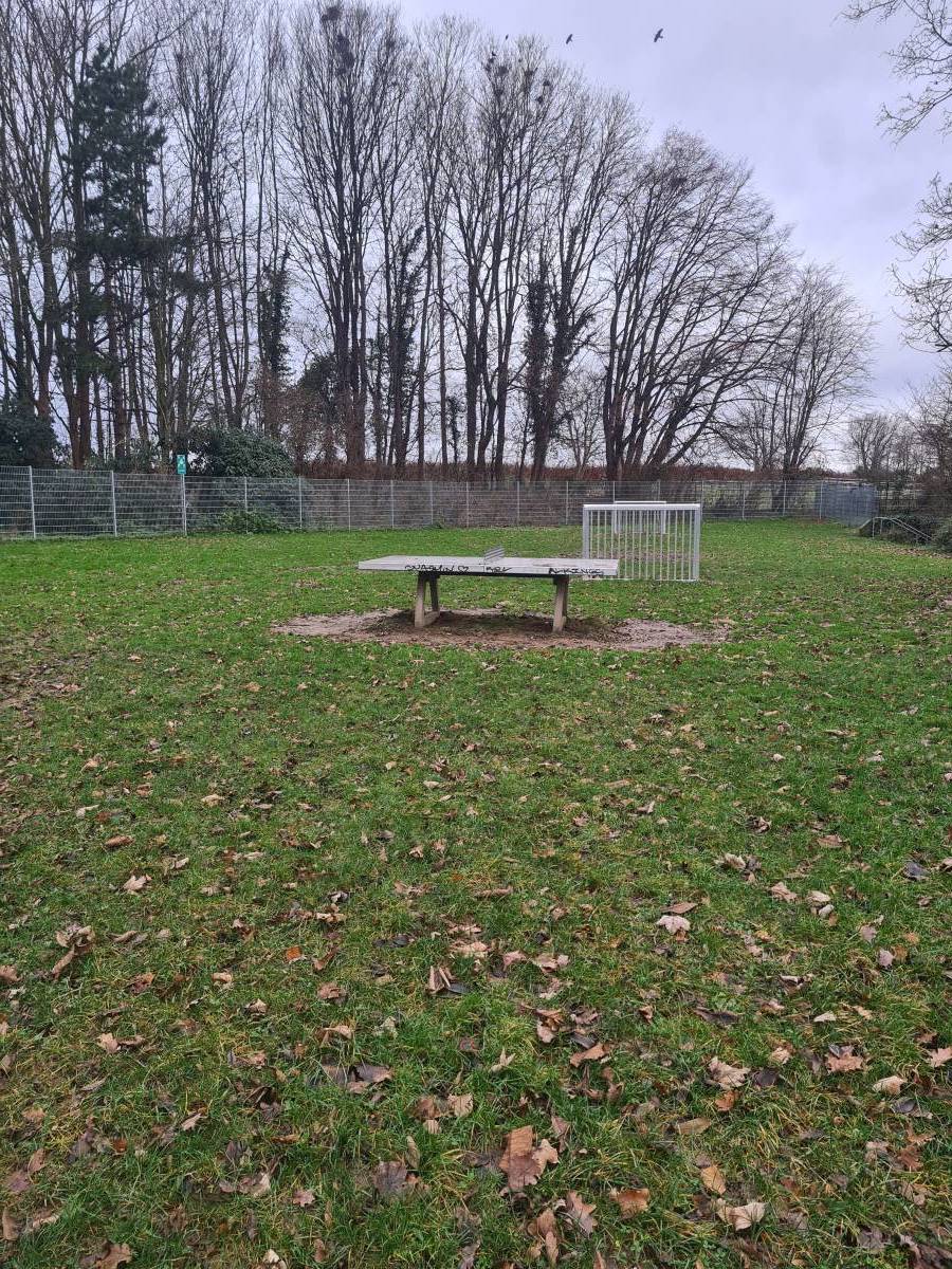 Tischtennis bei Am Fronhof