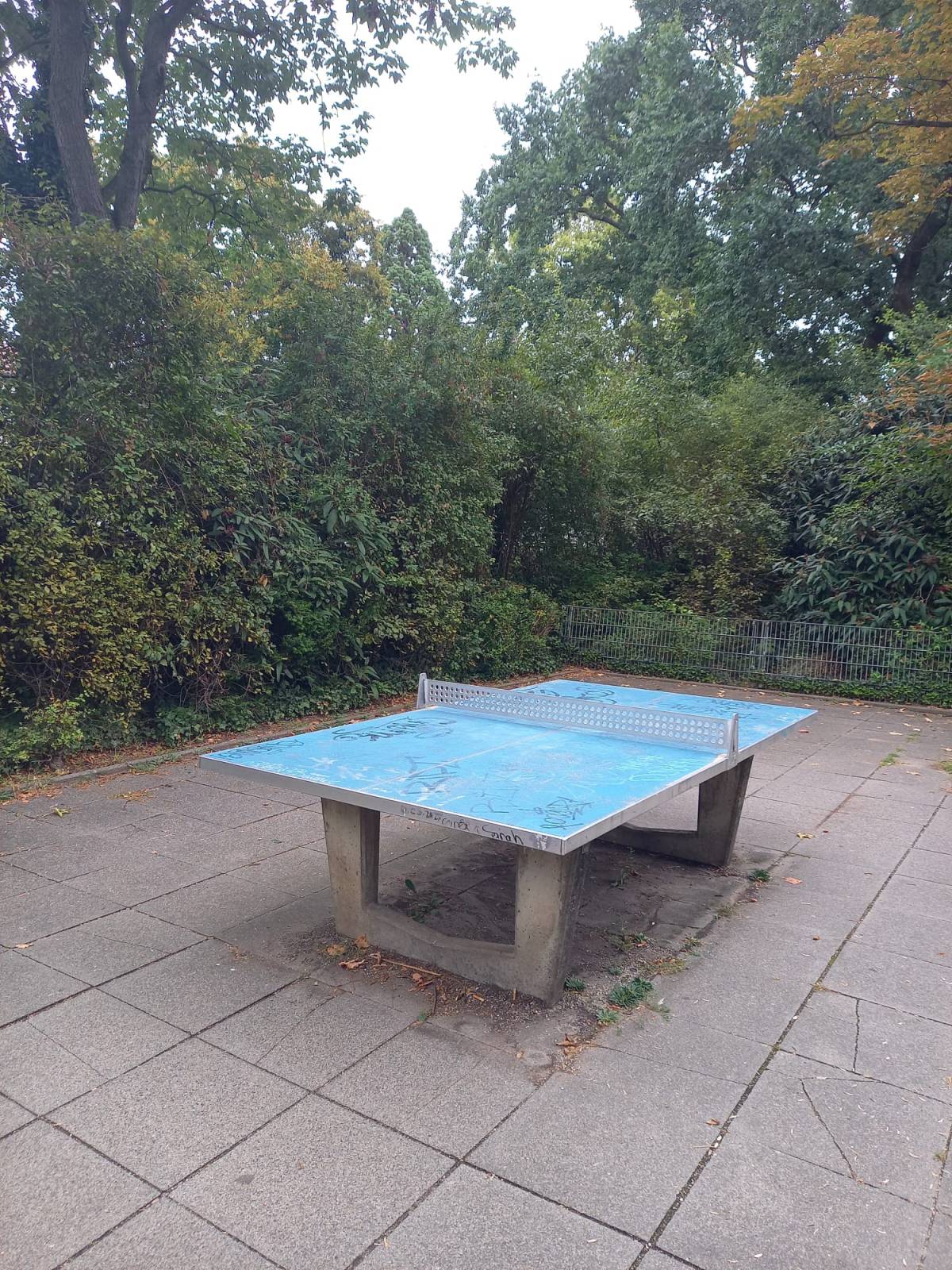 Tischtennis bei Rottfeldstraße