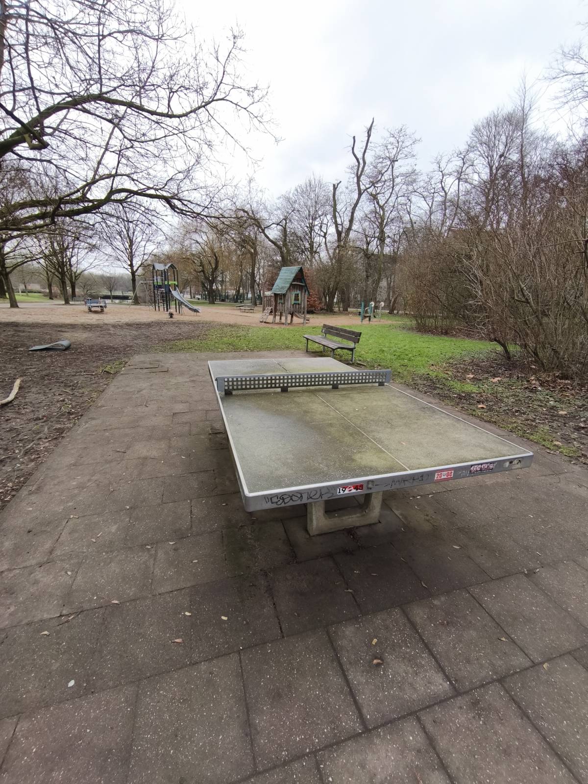 Tischtennis bei Niehler Straße