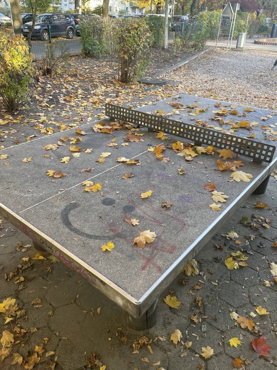 Tischtennis bei Springbornstraße