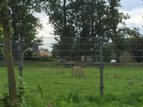 Tischtennis bei Ludwig-Krause-Straße