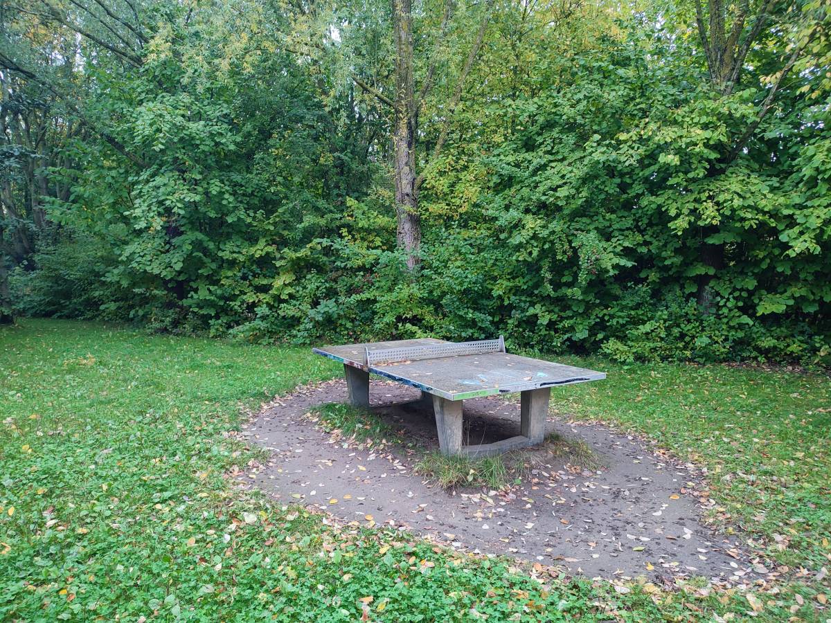 Tischtennis bei Weidegang