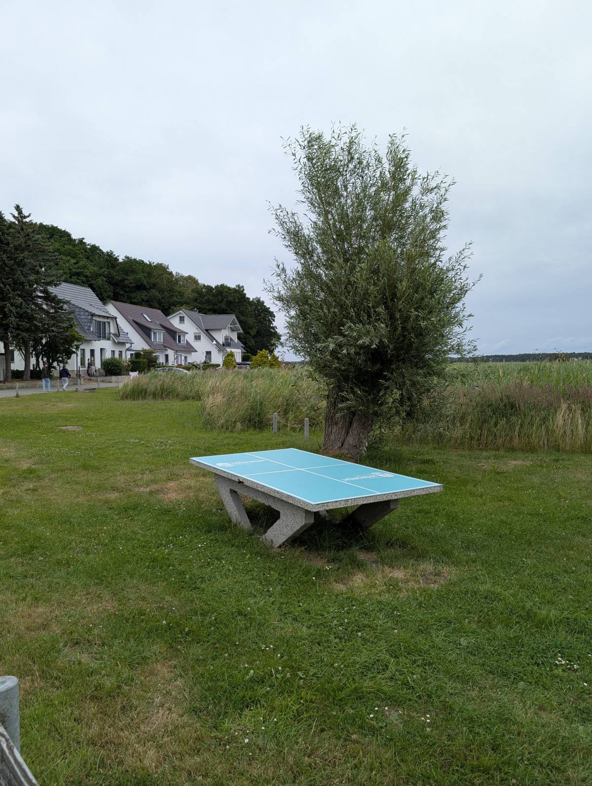 Tischtennis bei Zum See
