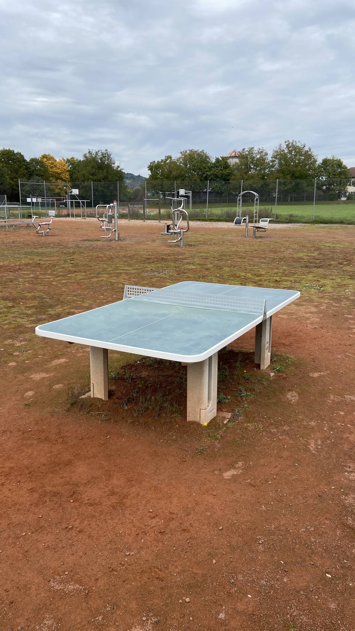 Tischtennis bei Holzweg