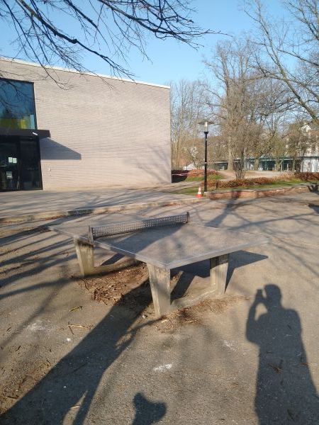 Tischtennis bei Schauenburgerstraße 94