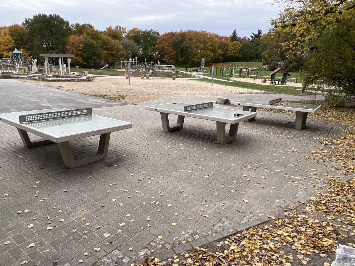 Tischtennis bei Buschkrugallee 100