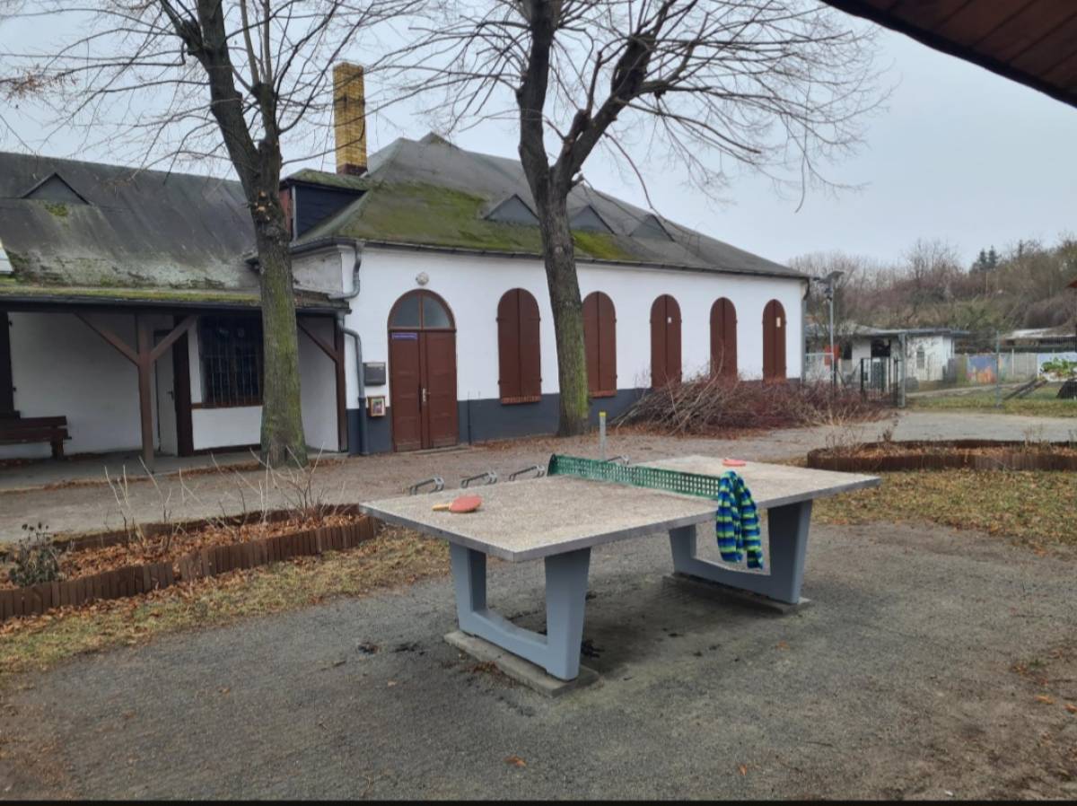 Tischtennis bei Rosenweg