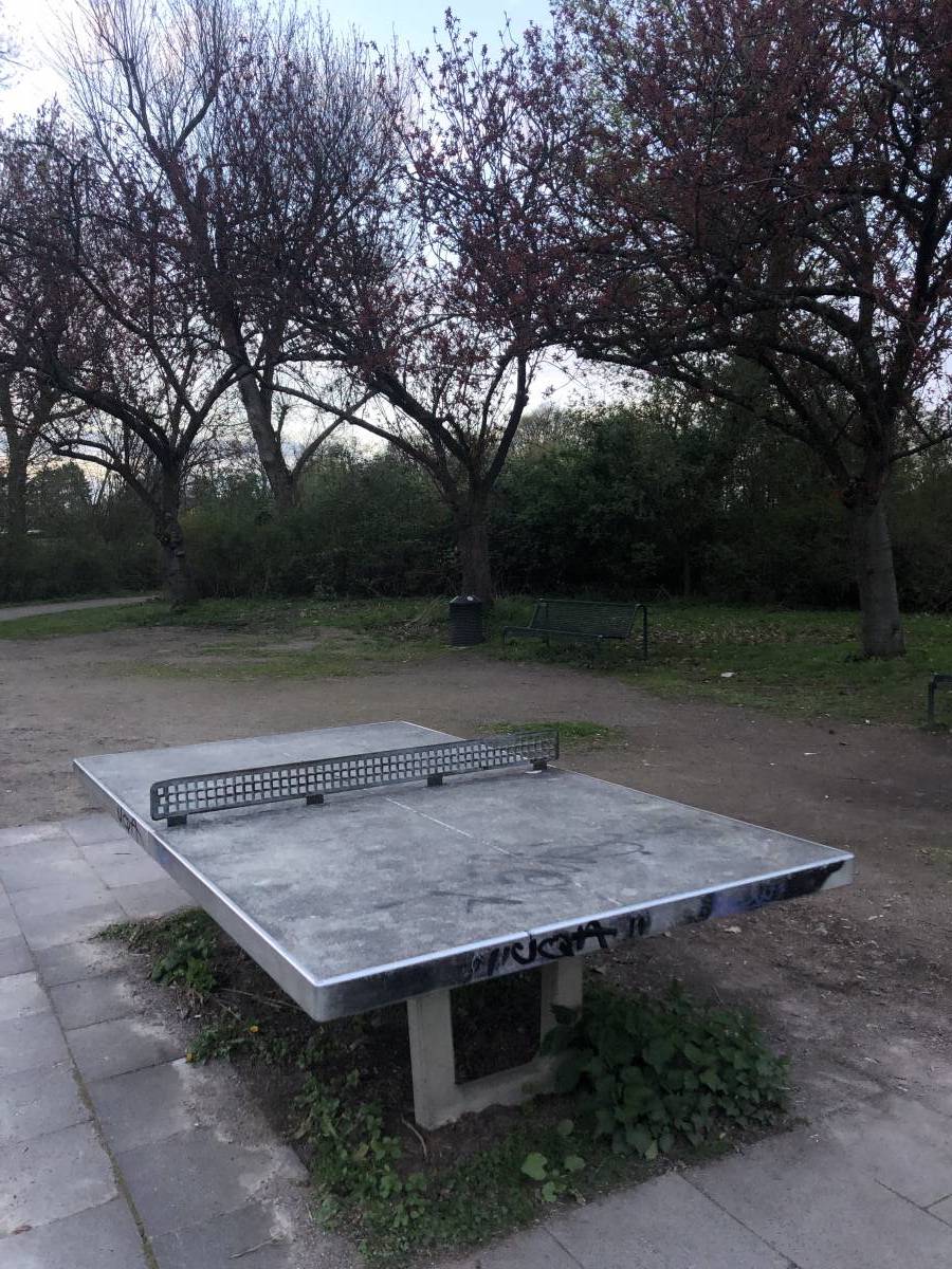 Tischtennis bei Sülzer Aquarienweg