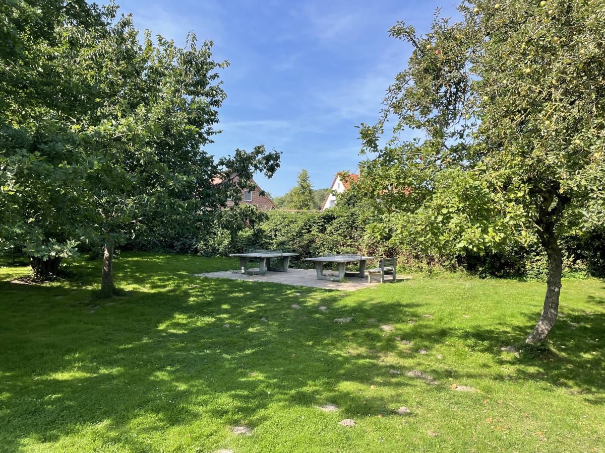 Tischtennis bei Vilmnitzer Weg