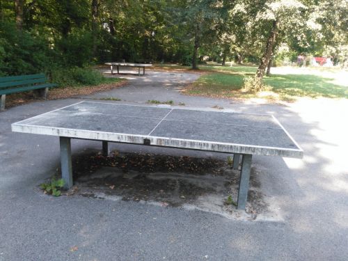Tischtennis bei Sondermeierstraße