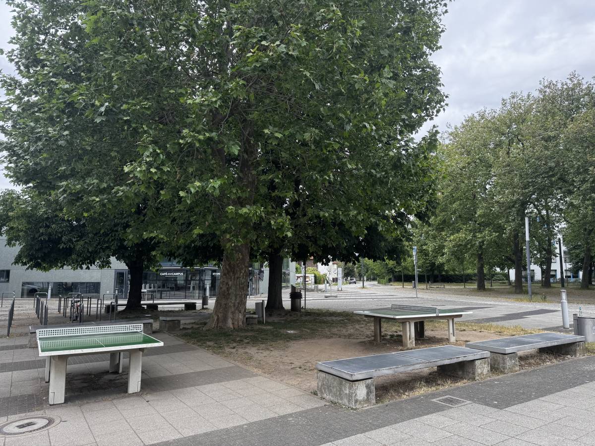 Tischtennis bei Rathenaustraße