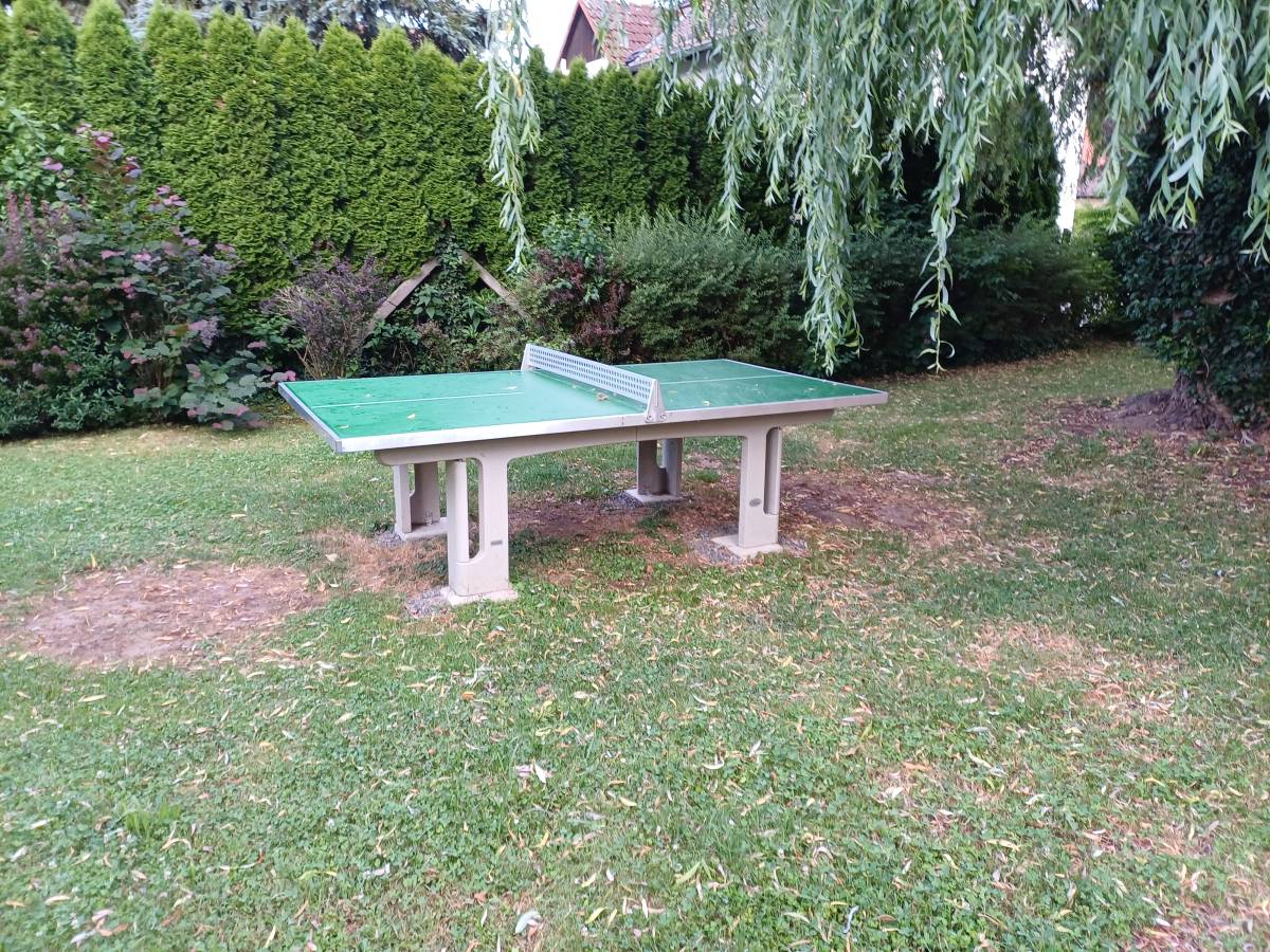 Tischtennis bei Am Raudabach