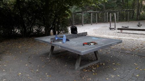 Tischtennis bei Gustav-Meyer-Allee 17A