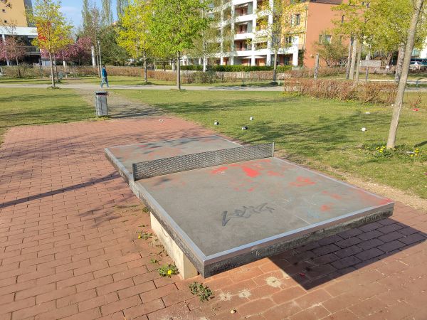 Tischtennis bei Golddistelanger 26