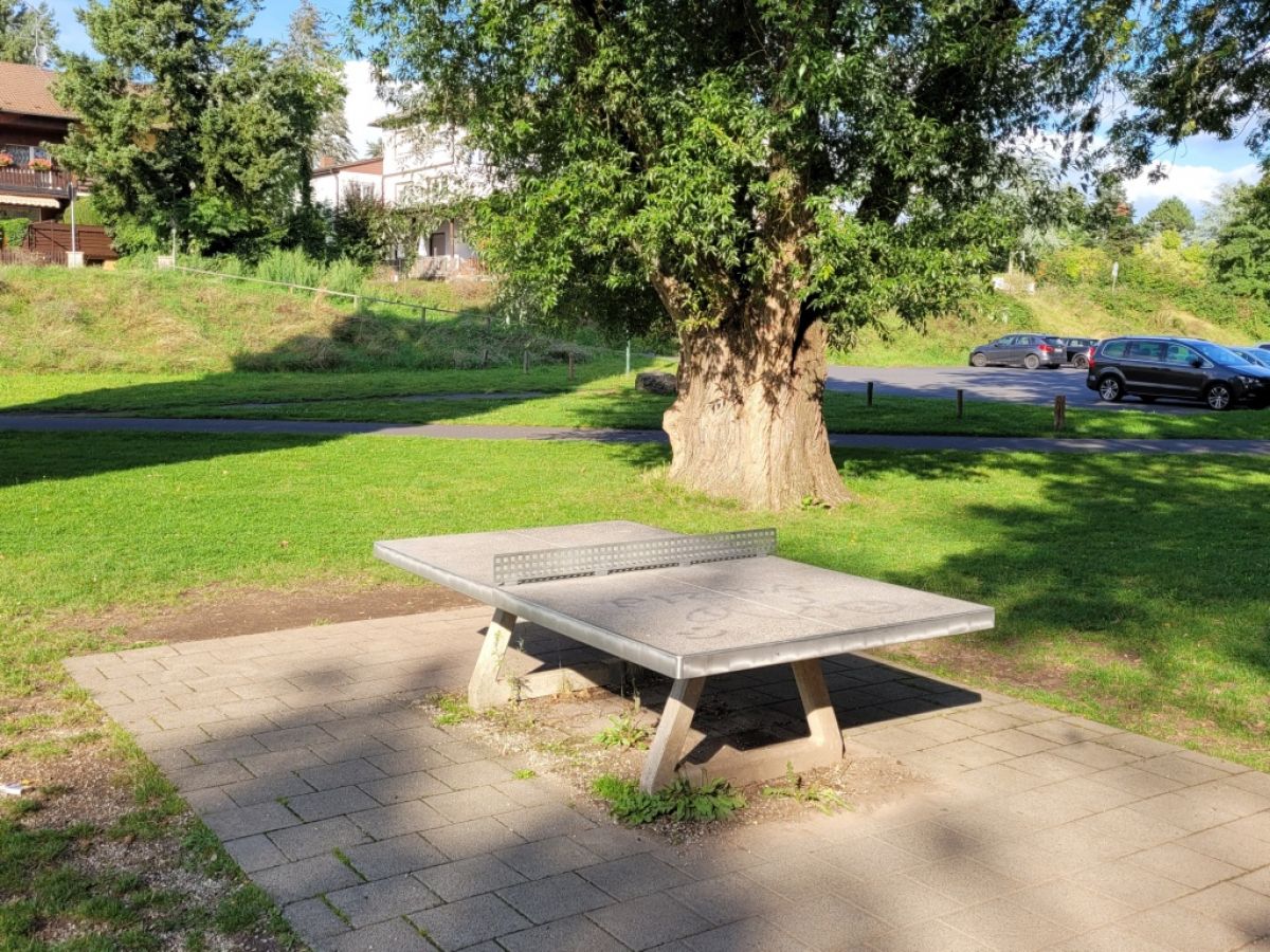 Tischtennis bei Leinpfad