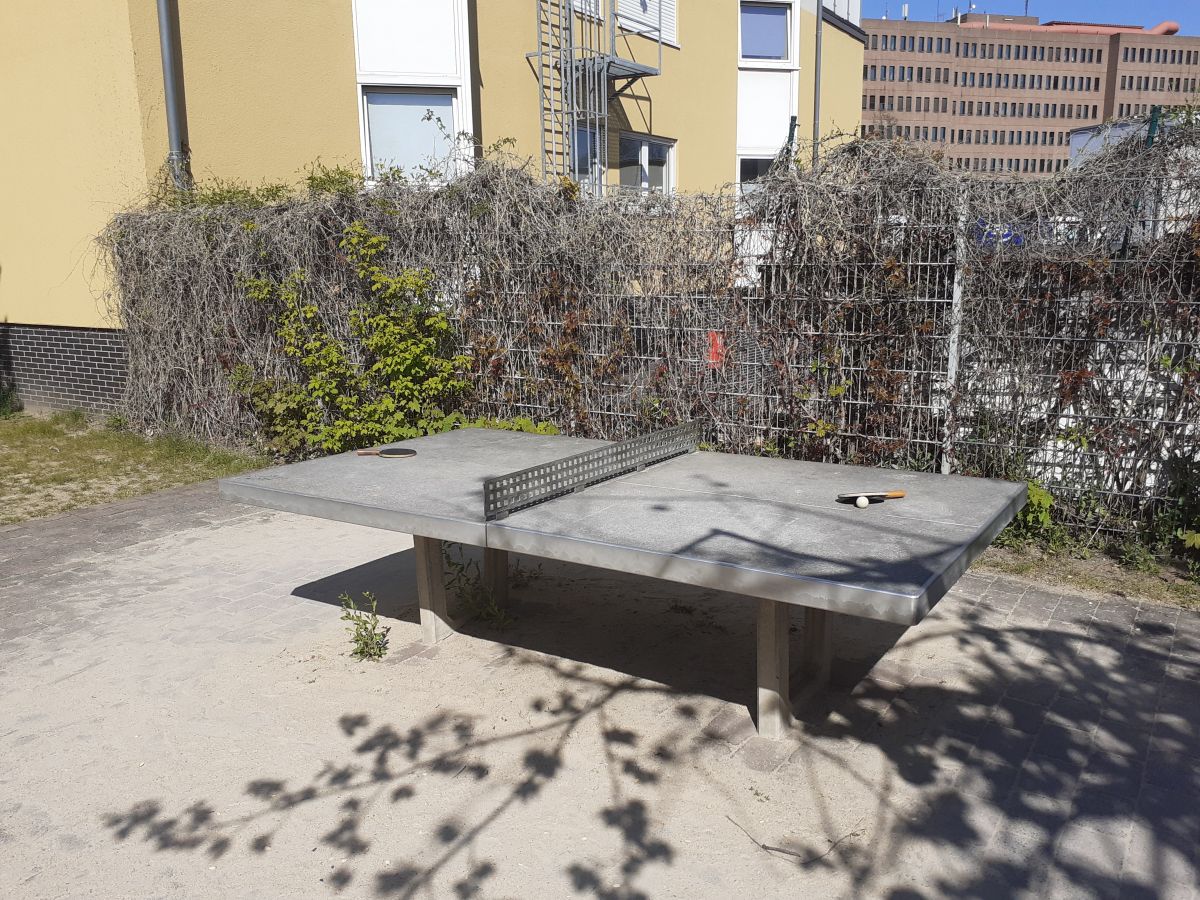 Tischtennis bei Sachsenhausen-Nord