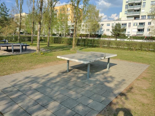 Tischtennis bei Frauenmantelanger 5